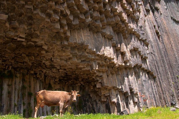 Les colonnes de basalte de Garni