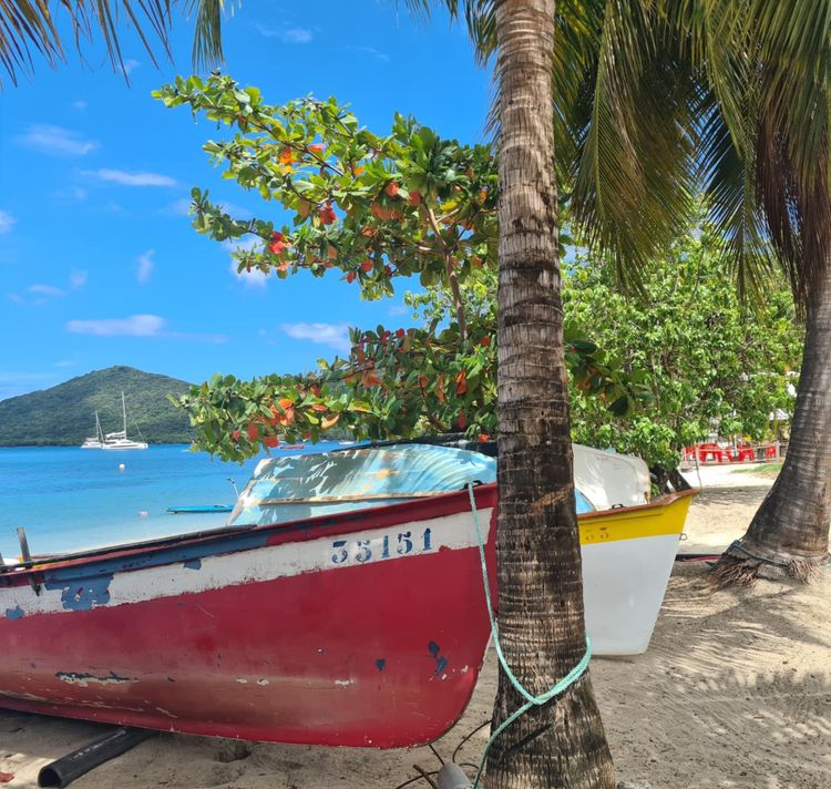 Plage des Anses d'Arlets