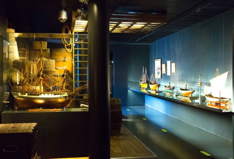Visite de la partie muséale de l'Aquarium de San Sebastian