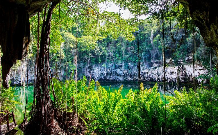 Cenote du parc National de los Tres Ojos, à Saint-Domingue