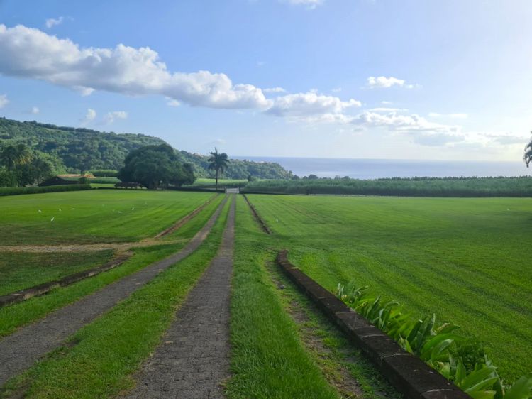 Vue de la distillerie Depaz