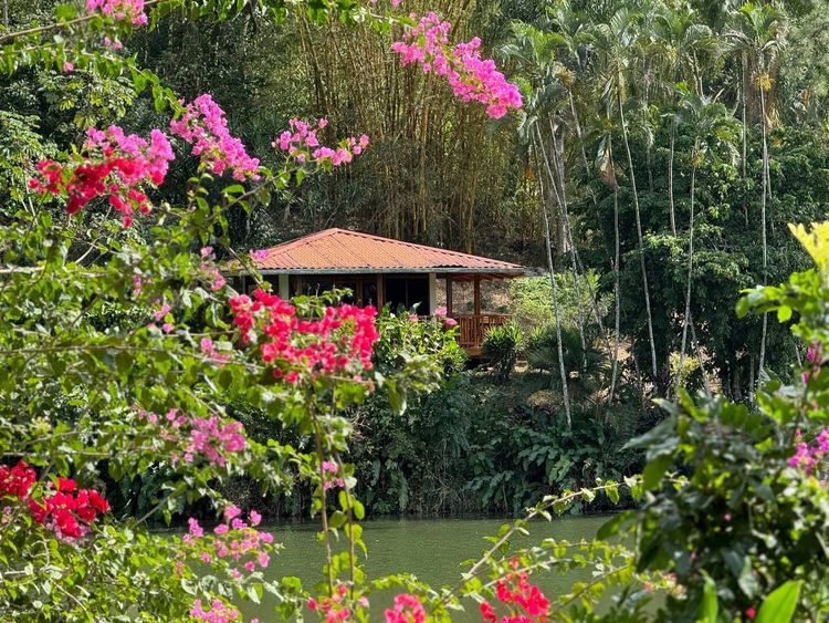 Belle cabane dans un paradis naturel - ©Airbnb