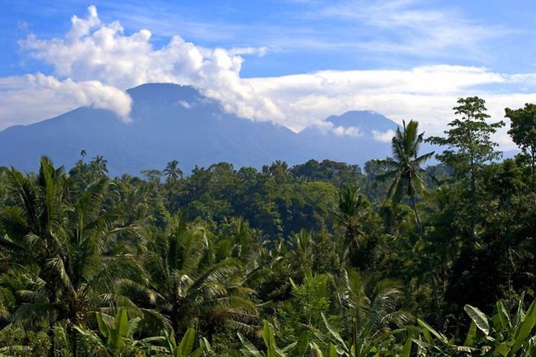 Den Berg Batur besteigen