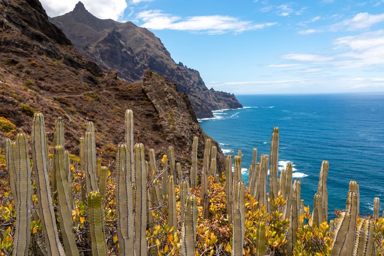 Anaga's hikes are exceptional, Tenerife, Canary Islands, Spain, Europe.