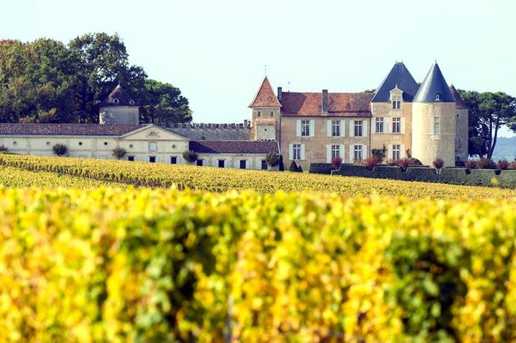 Château d'Yquem, sur le domaine de Sauternes
