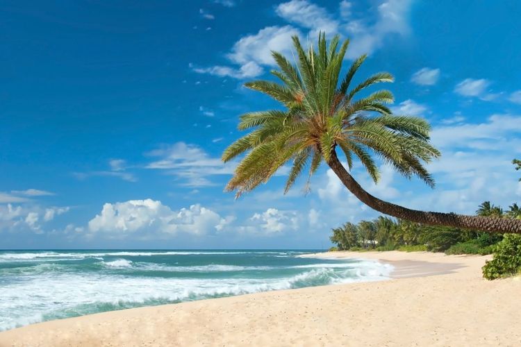La plage de l'île d'Oahu © vacclav/123RF