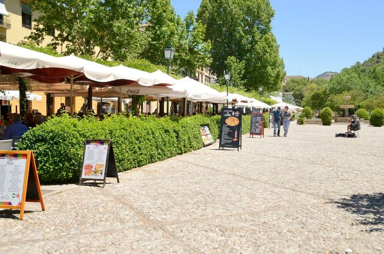 Les cafés du paseo