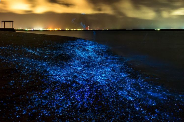 Plage bioluminescente de l'île de Vaadhoo