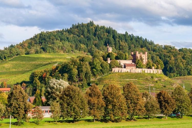 Un bout de Forêt Noire, sur une colline allemande