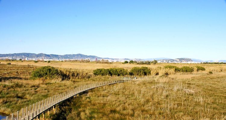 Le Delta Del Llobregat, région de Barcelone