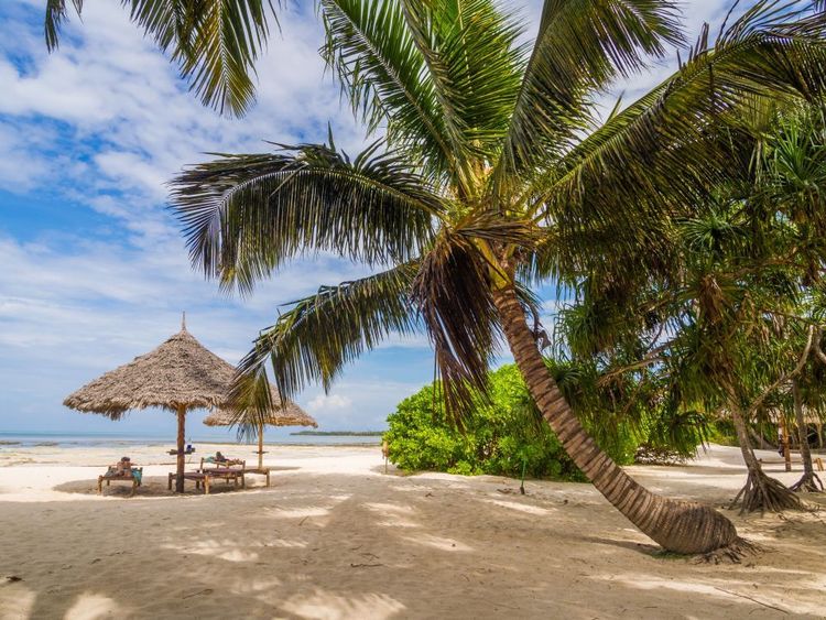 La plage de Pongwe. © magdalenapaluchowska/123RF