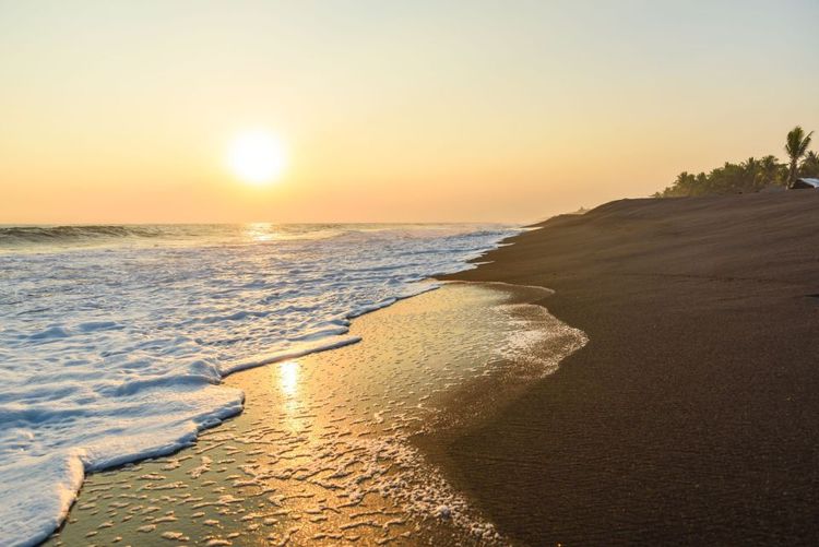 Plage de Monterrico - simondannhauer/123RF