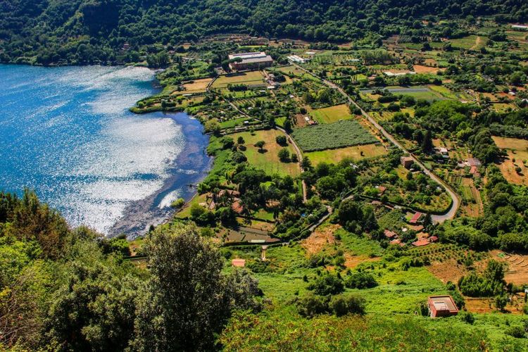 Vue sur les collines verdoyantes, Nemi 