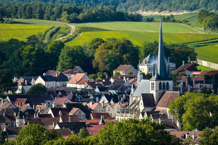 Le village Les Riceys dans l'Aube
