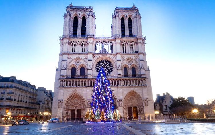 Le sapin de Noël sur le parvis de Notre-Dame