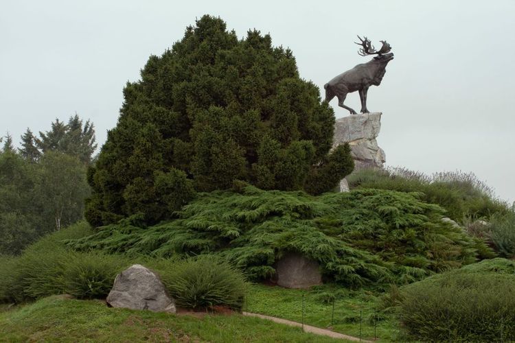 Mémorial De Beaumont-Hamel