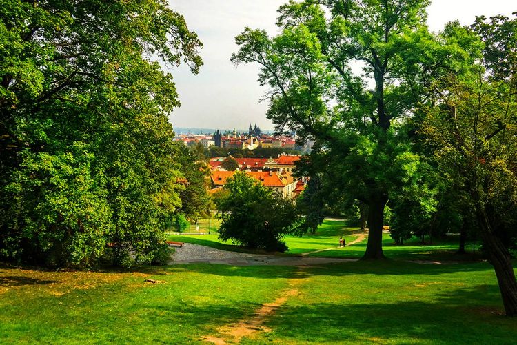 Prague vue depuis Petřín Hill