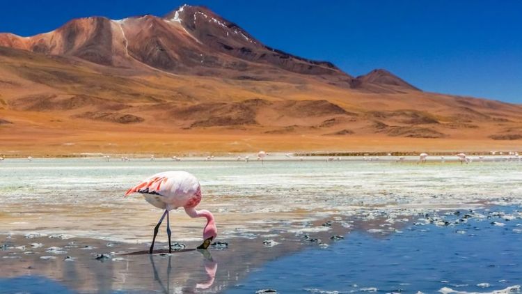    Le désert d'Atacama au Chili