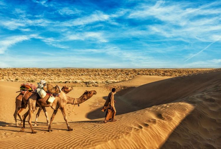 Le désert du Thar, Inde