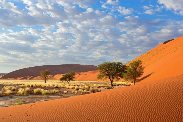 Le Namib, le désert de Namibie