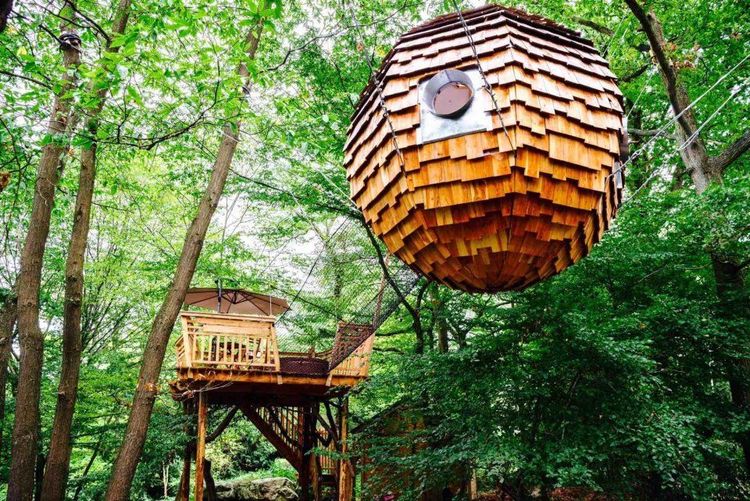 Le Bois de Rosoy, des cabanes vraiment insolites