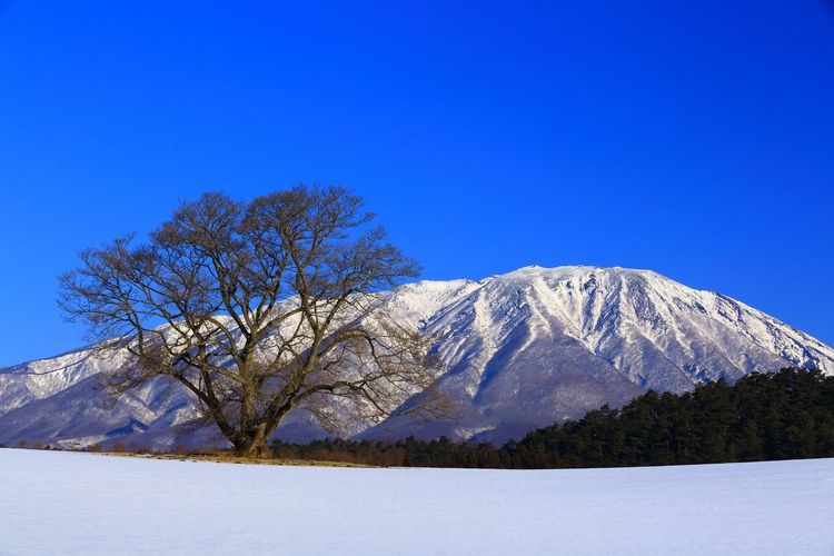 Le mont Iwate