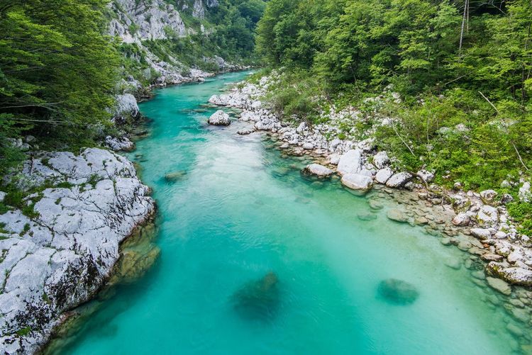 La rivière Soca dans le Triglav
