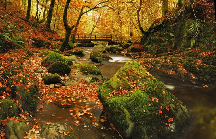 Automne à Stockghyll dans le district de English Lake. @Stewart Smith Photography / Shutterstock