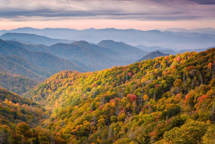 L'automne s'empare de la végétation exubérante des Great Smoky Mountains