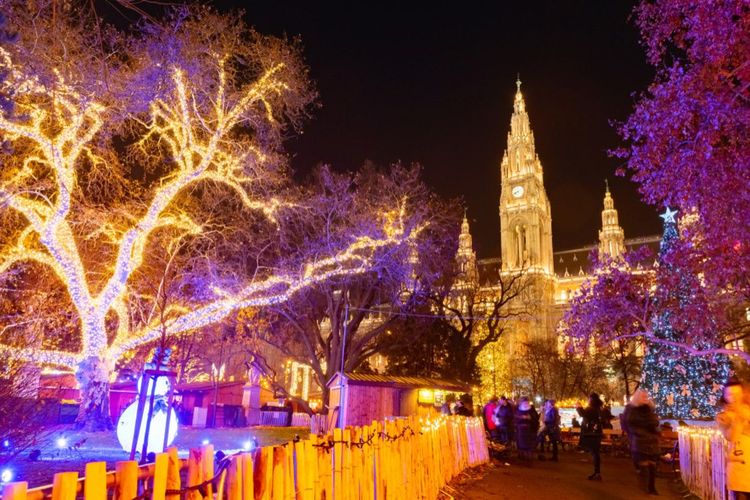 Le marché de Noël devant l'hôtel de ville à Vienne.