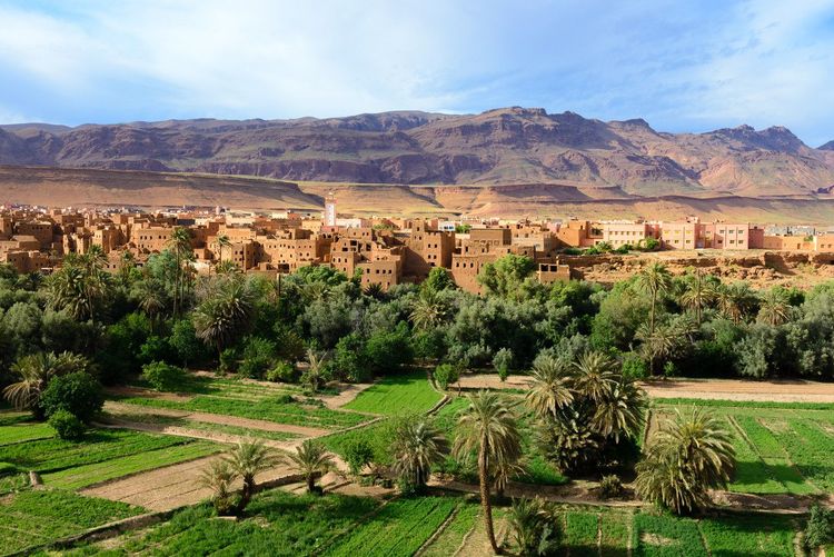 L'oasis de Tinghir au Maroc
