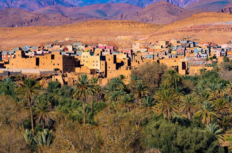 Une oasis de la vallée du Dadès, Maroc.