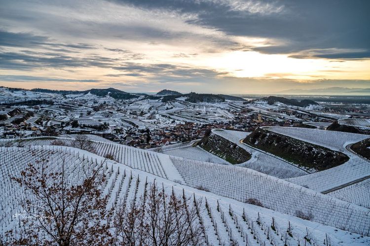 La route des vins de Baden en hiver.
