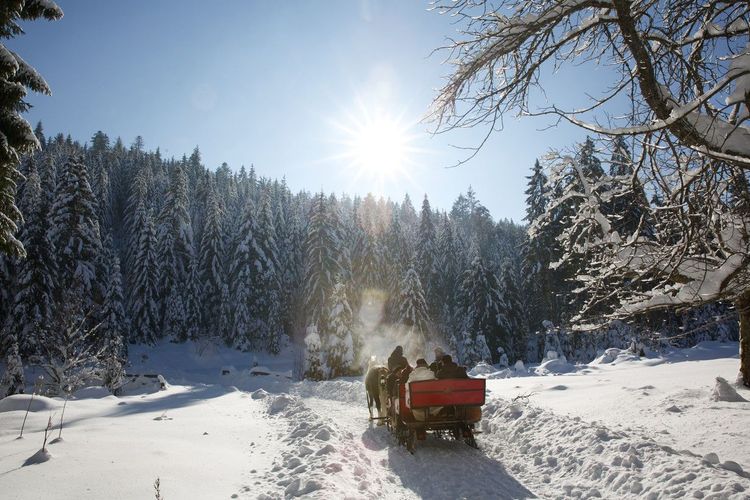 Une balade en calèche dans la nature de Baiersbronn en hiver.
