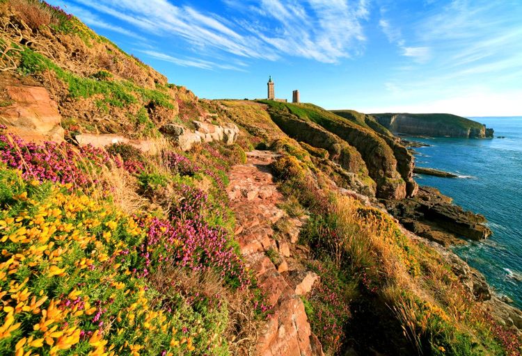 Le Cap Fréhel en Bretagne a des airs d'Irlande.