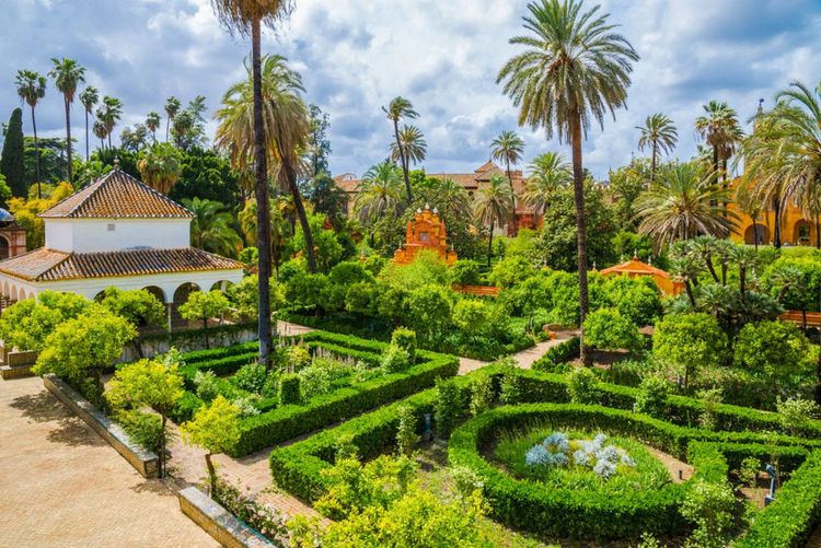 Le sublime jardin arboré de l'Alcazar de Séville.
