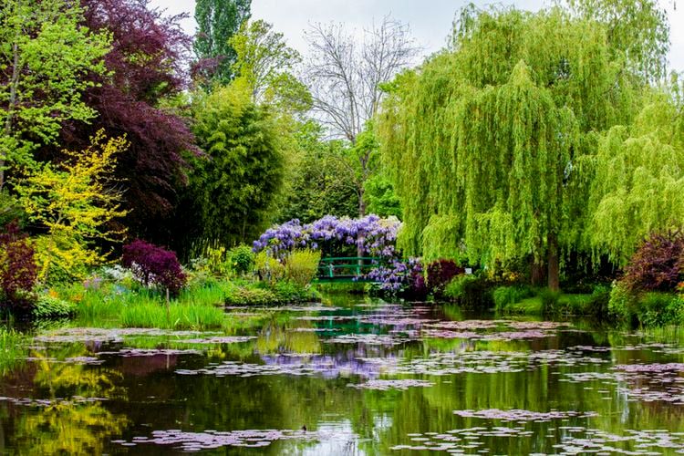 Le bassin des nymphéas dans le jardin de Claude Monet, à Giverny