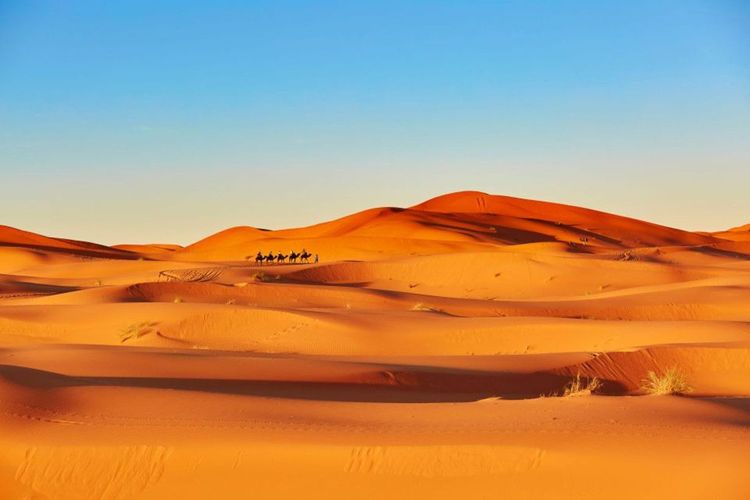 Les dunes du Sahara, Maroc