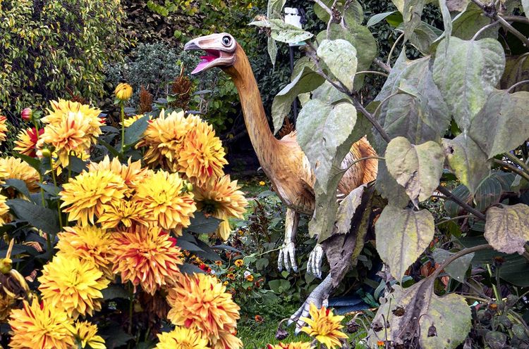 Un vélociraptor semble à l'affût