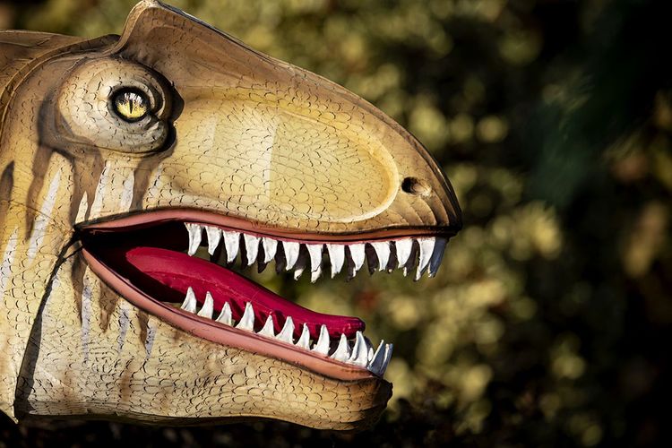 Le T-Rex montre le dents
