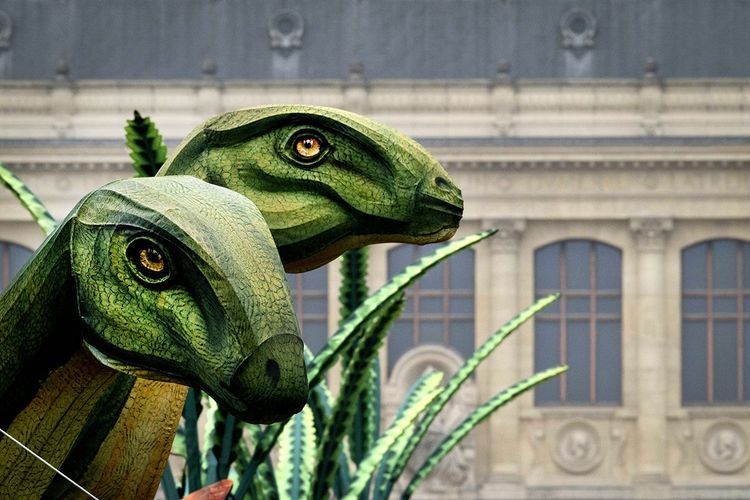 Diplodocus dans le parc