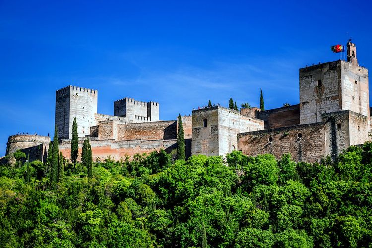 Les fameux jardins sont aux pieds de l'Alhambra