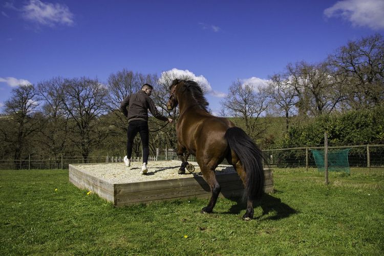 Atelier d'equi-coaching dans les Mauges, France © Marie-Laure Moizard