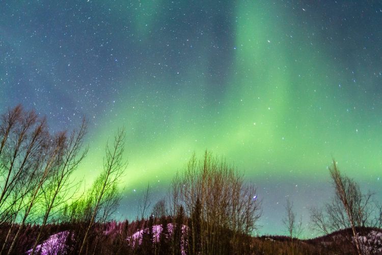 Aurores boréales en Alaska