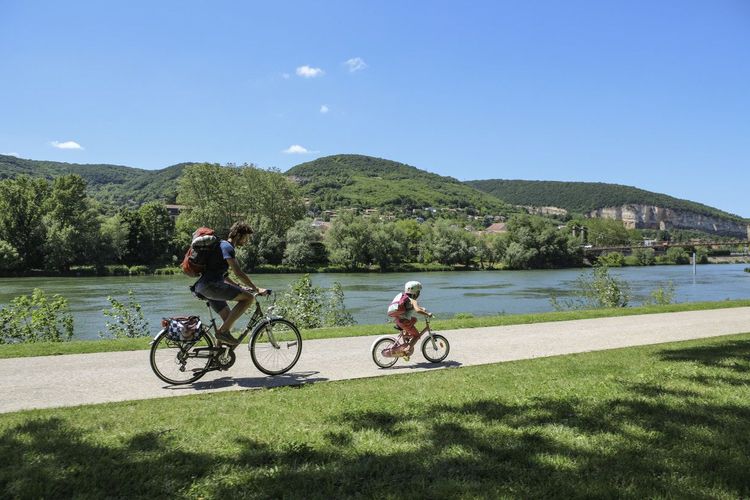 Balade au bord de la Moselle