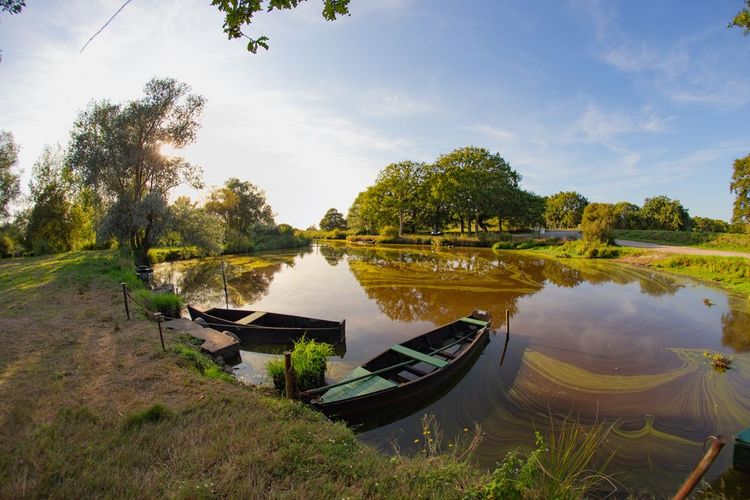 Barques dans le parc de la Brière