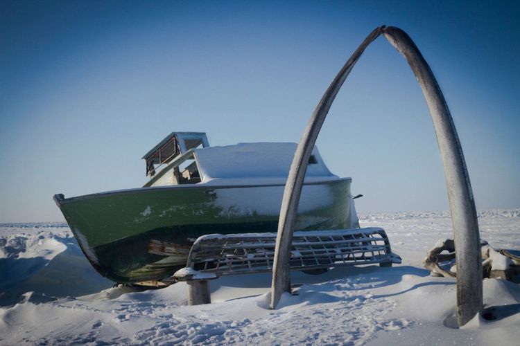 Arc de baleine de Barrow et Alaska © /Ian McDermod/Shutterstock