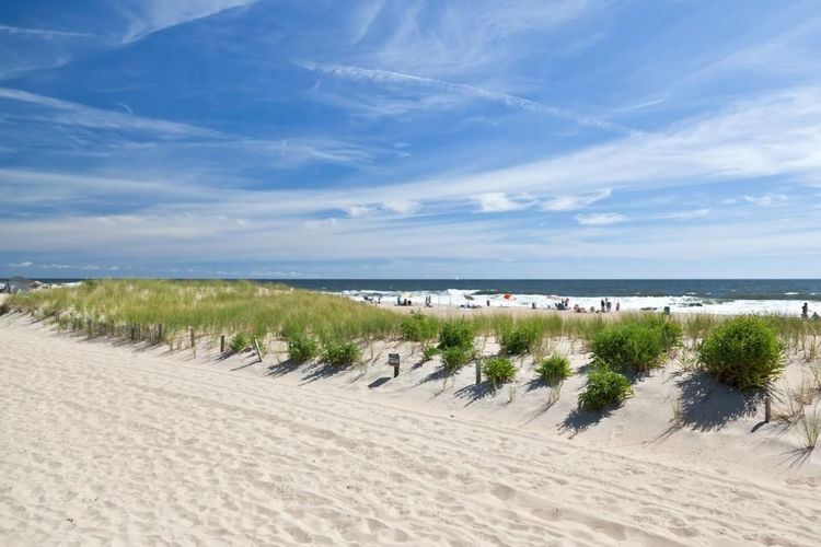 La plage de Beach Haven a inspiré l'histoire de Jaw © gary718/123RF