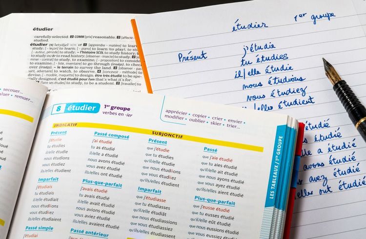 Le Bescherelle peut s'avérer très utile pour les étudiants en français