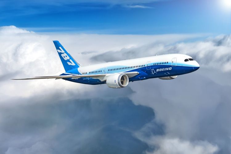 Un Boeing 787 Dreamliner dans les airs